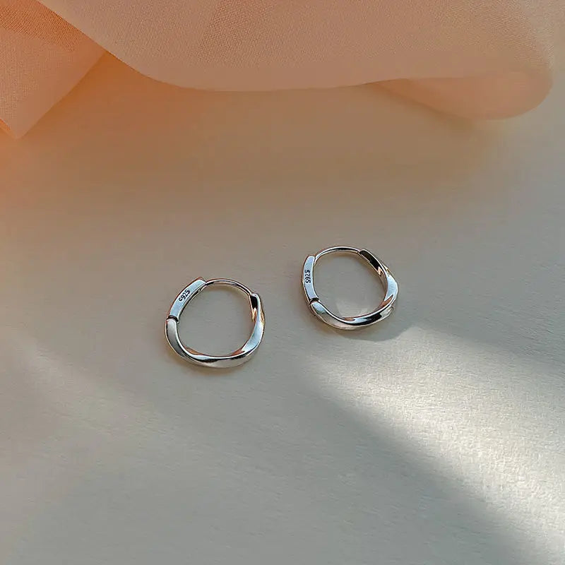 Stainless Steel  Earrings