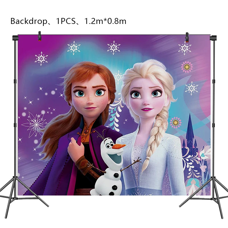 Disney Frozen Birthday Party Decoration